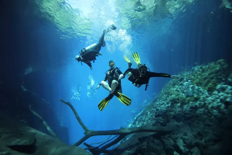 int-mergulho profissional