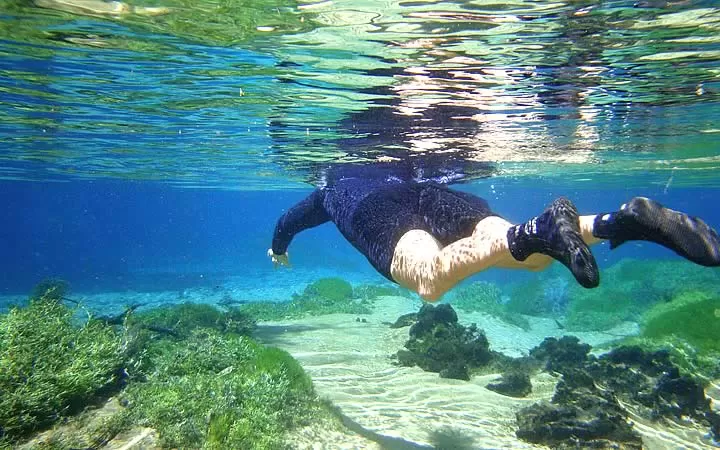 Flutuação Em Bonito Roupas De Neoprene