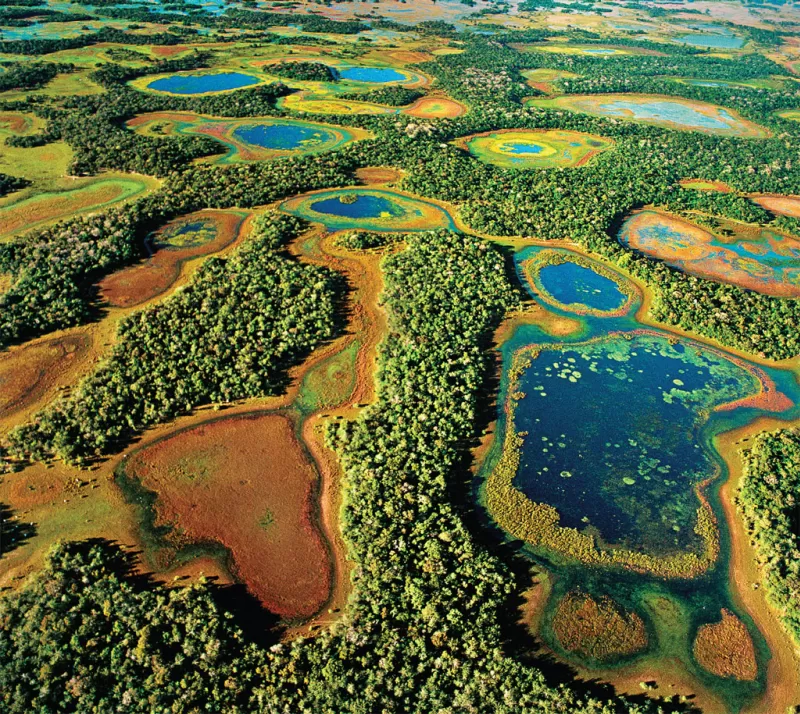 Pantanal MS   Creditos Da Foto Valdemir Cunha