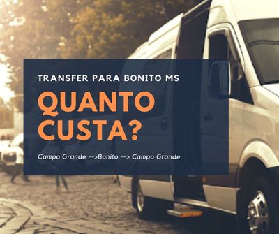 Transfersz1