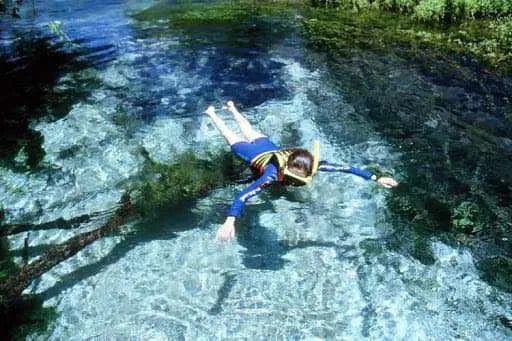 Águas Cristalinas Do Rio Sucuri Em Bonito (MS)
