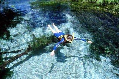 Águas Cristalinas Do Rio Sucuri Em Bonito (MS)