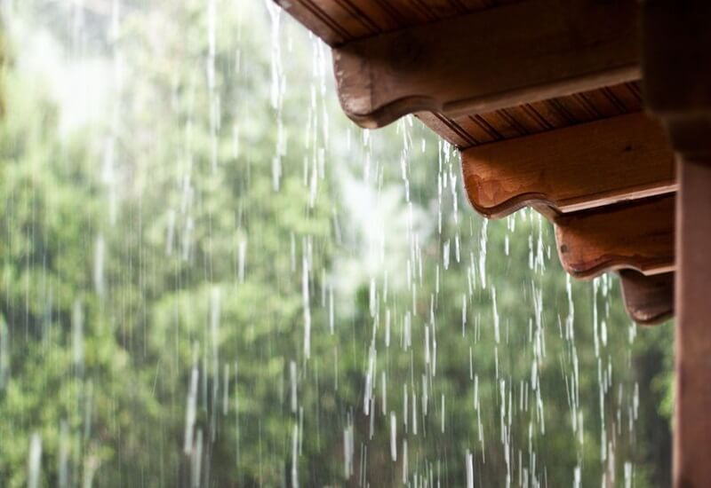 bonito-com-chuva-(1)