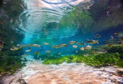 aguas-de-bonito-(1)