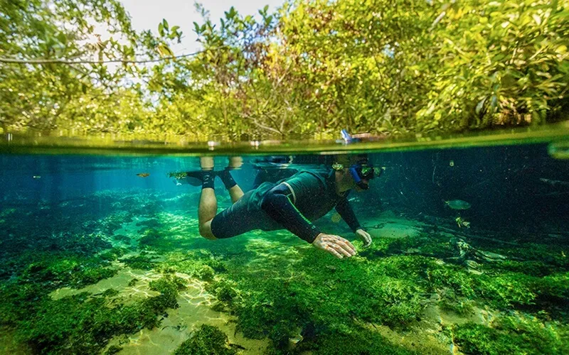flutuacao-alta-temporada-(1)