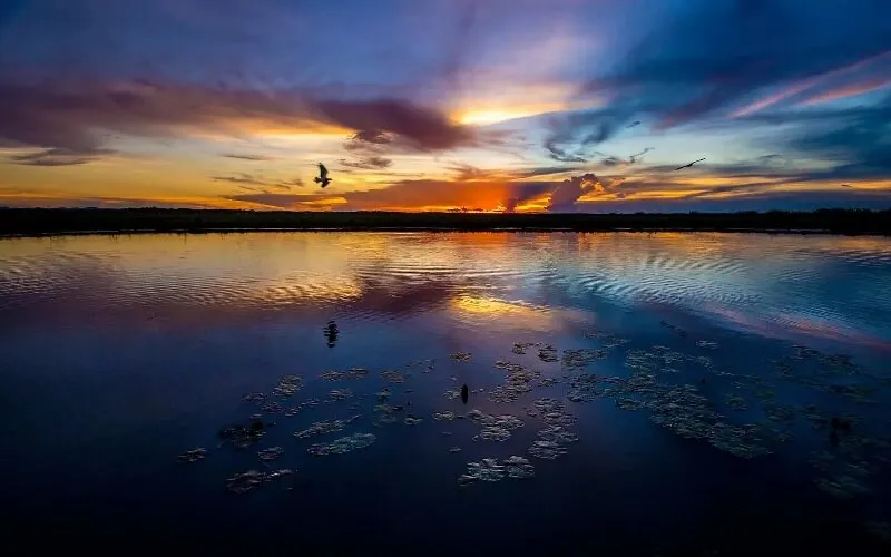 bonito-pantanal