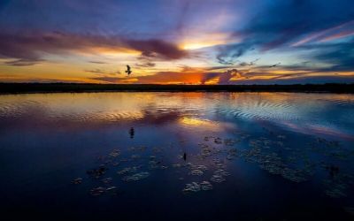 bonito-pantanal