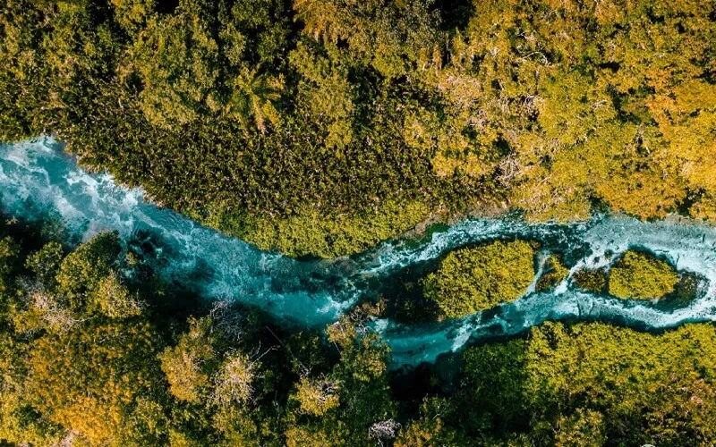 bonito-ou-pantanal
