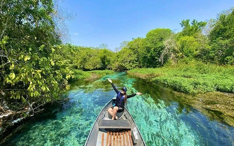 bonito