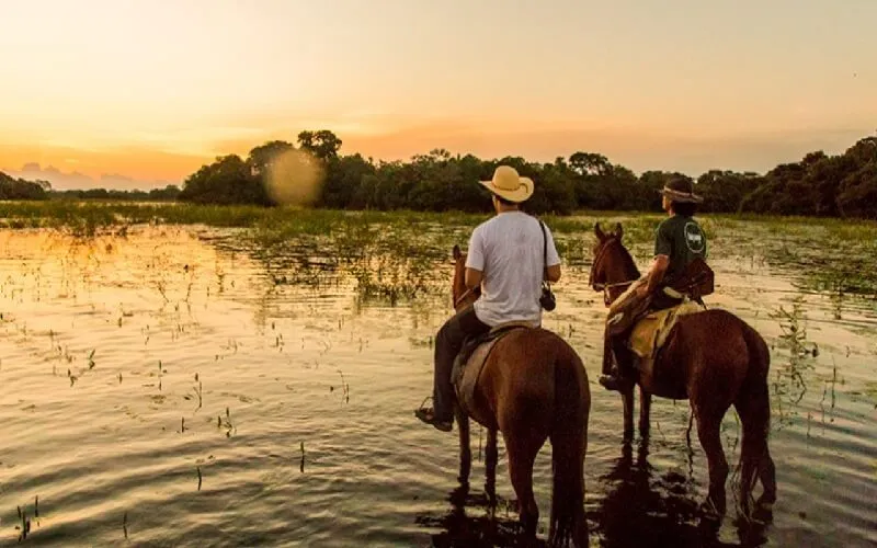 pantanal-sul