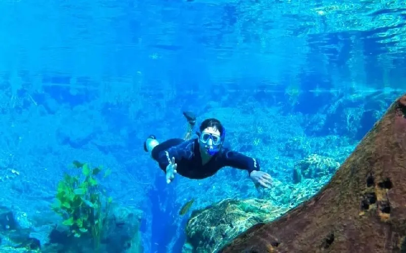 nascente-azul-flutuacao