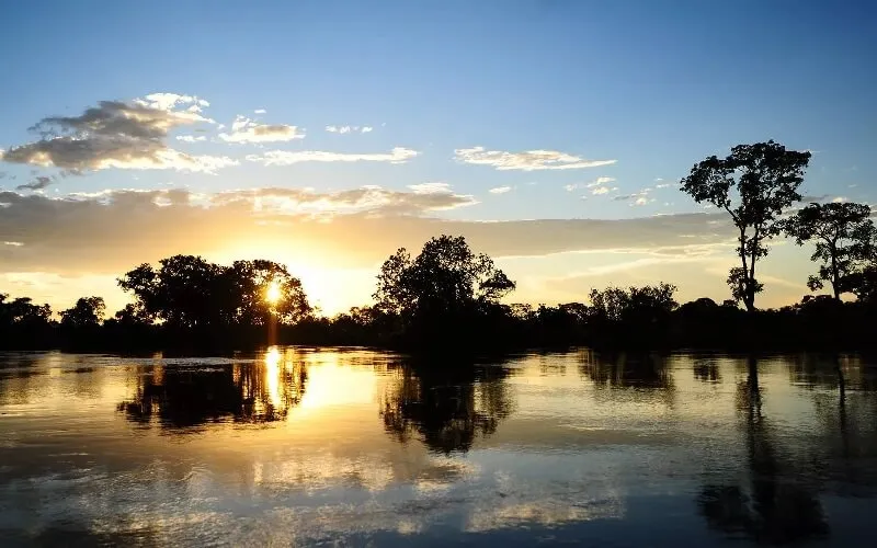 pantanal-sul