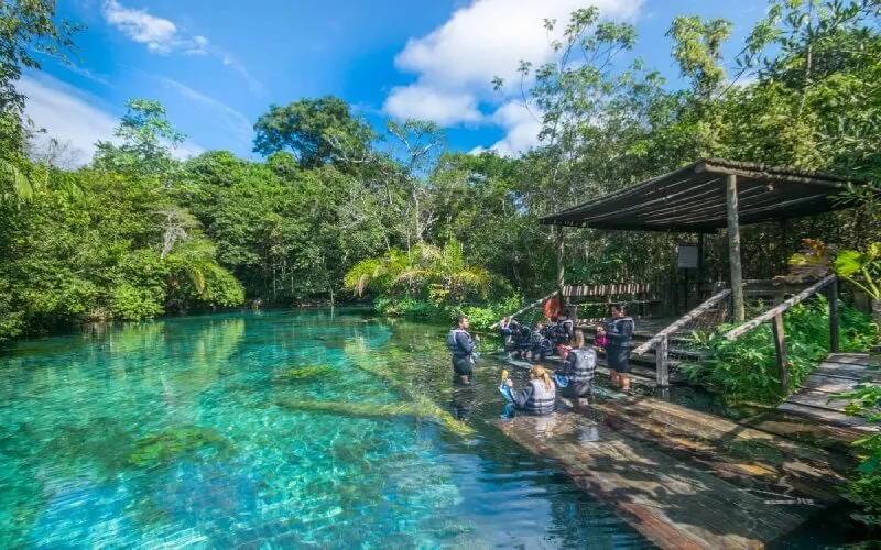 bonito-em-feriado