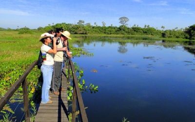 o-que-levar-pantanal (1)
