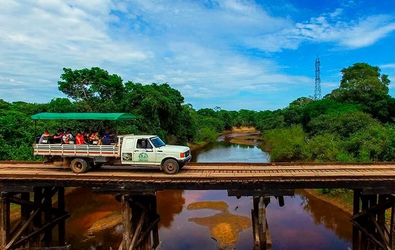 o-que-levar-pantanal-sul