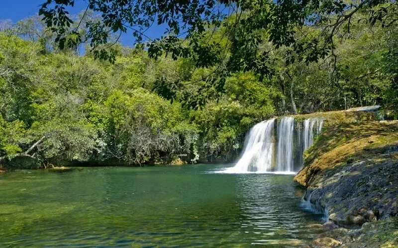 bonito-preservacao