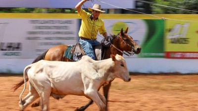 Festa Da Federação De Clubes De Laço (2)