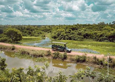 Fazenda Francisco Pantanal Ms Fazenda Francisco Pantanal Ms