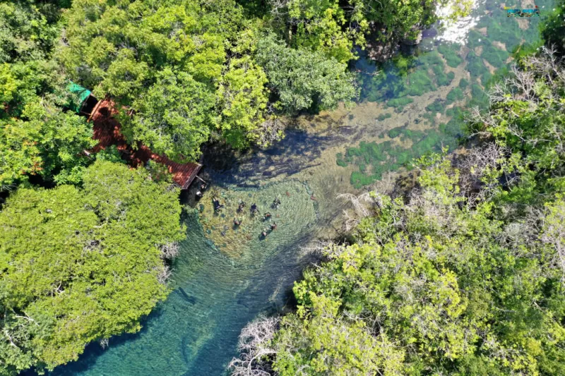 Rio Da Prata Visto De Cima