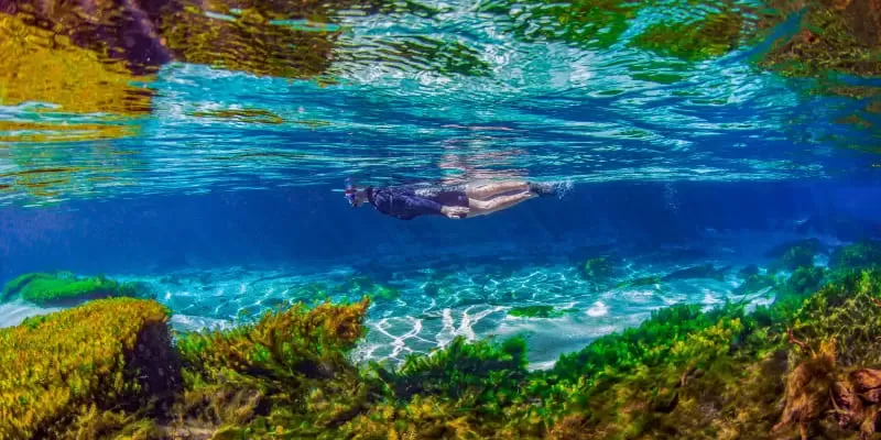 Rio Sucuri Flutuação Bonito Ms águas Cristalinas Acqua Viagens