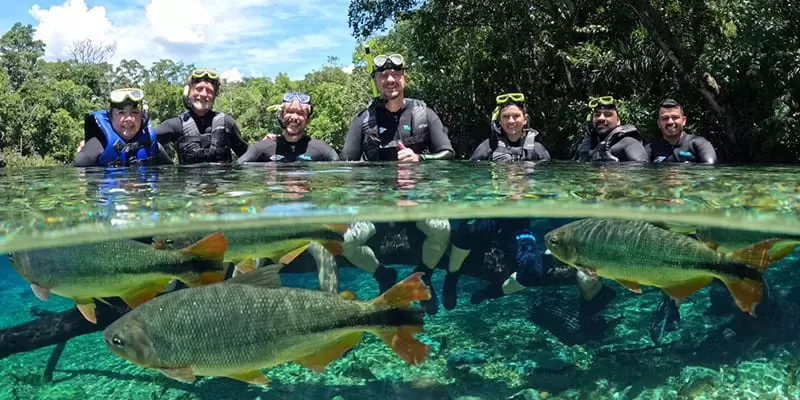 Flutuacao Rio Da Prata Jardim Ms