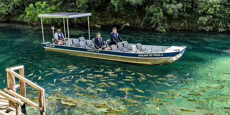Flutuacao Rio Da Prata Jardim Ms Peixes Barco