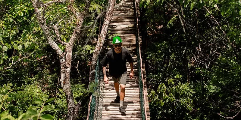 Grutas De Sao Miguel Passarela Bonito Ms