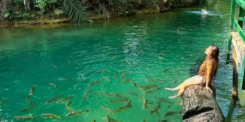 Balneario Municipal De Bonito