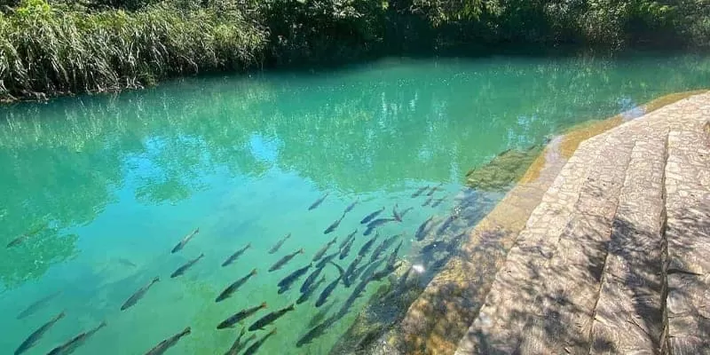 Balneario Municipal De Bonito Peixes