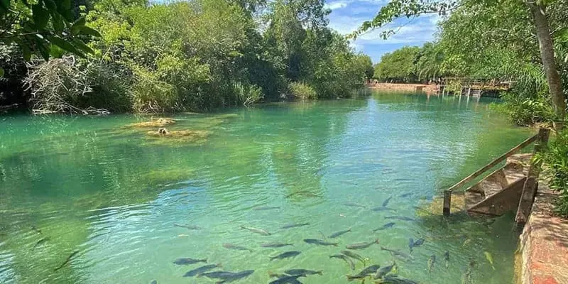 Balneario Municipal De Bonito Ms