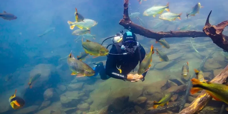Mergulho Com Cilindro Rio Da Prata Bonito