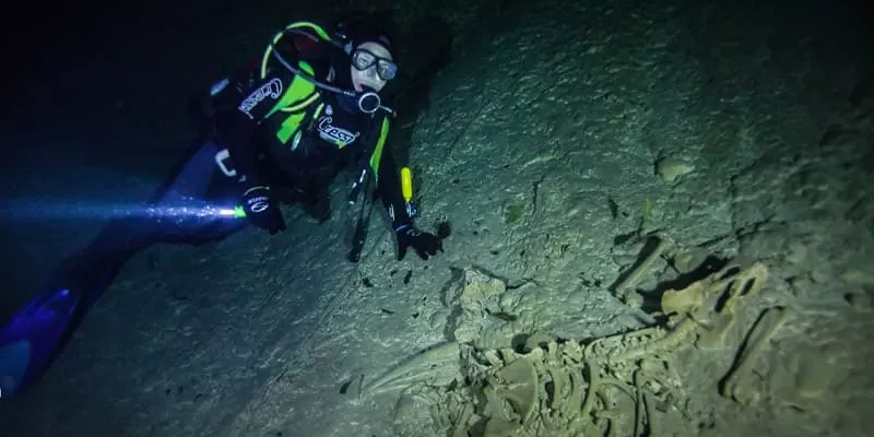Mergulho Abismo Anhumas Em Bonito