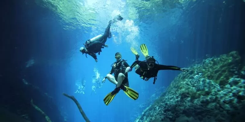 Mergulho Na Lagoa Misteriosa Em Bonito Ms