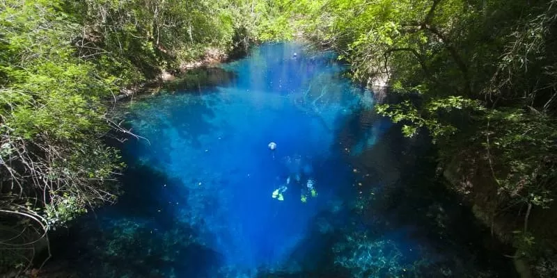 Lagoa Misteriosa Em Bonito Ms