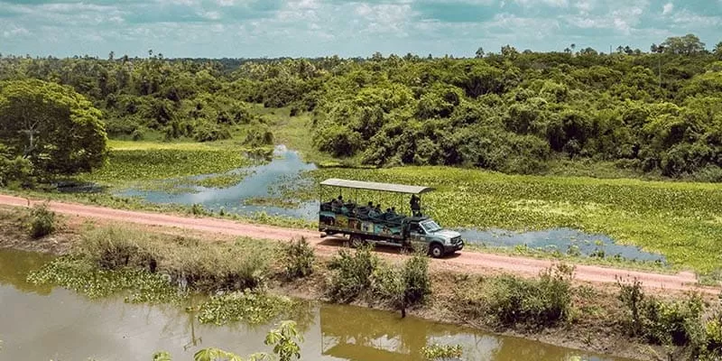 Passeio No Pantanal Fazenda San Francisco