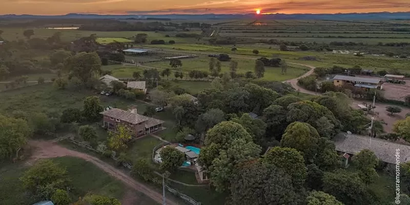 Passeio No Pantanal Fazenda San Francisco Em Miranda Ms