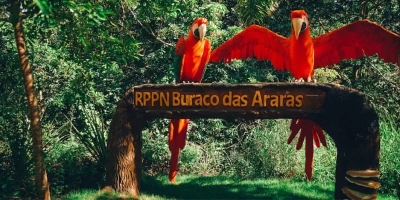 Buraco Das Araras Jardim Ms
