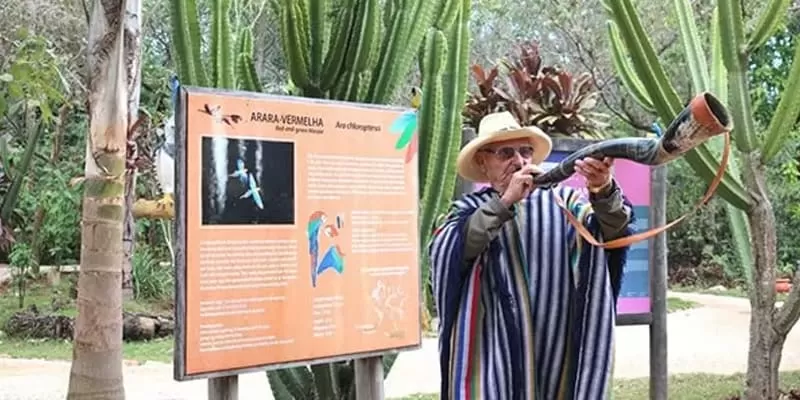 Buraco Das Araras Jardim Ms Seu Modesto