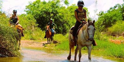 Cavalgada Em Bonito Ms Parque Ecológico Rio Formoso