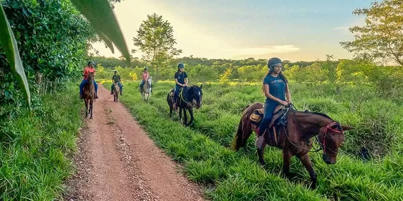 Cavalgada Em Bonito Ms Rio Formoso