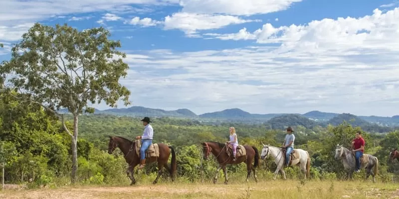 Cavalga Em Bonito Na Estancia Mimosa