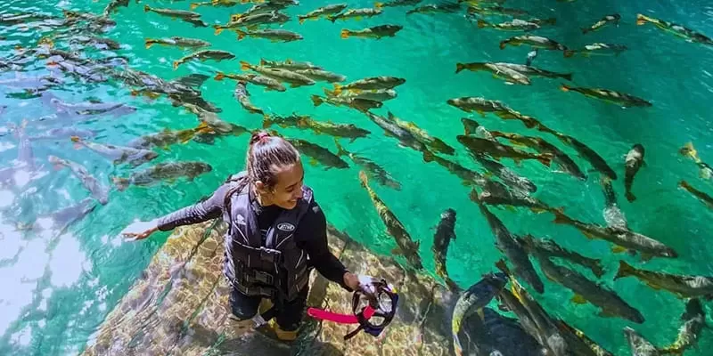 Flutuacao Praia Da Figueira Rio Formoso Bonito Ms