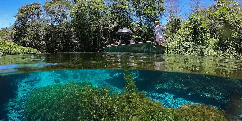 Rio Sucuri Passeio De Barco Em Bonito