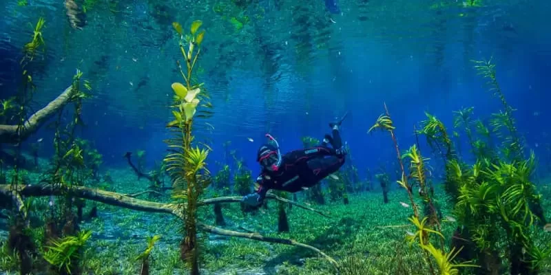 Flutuacao Rio Azul Bonito Ms