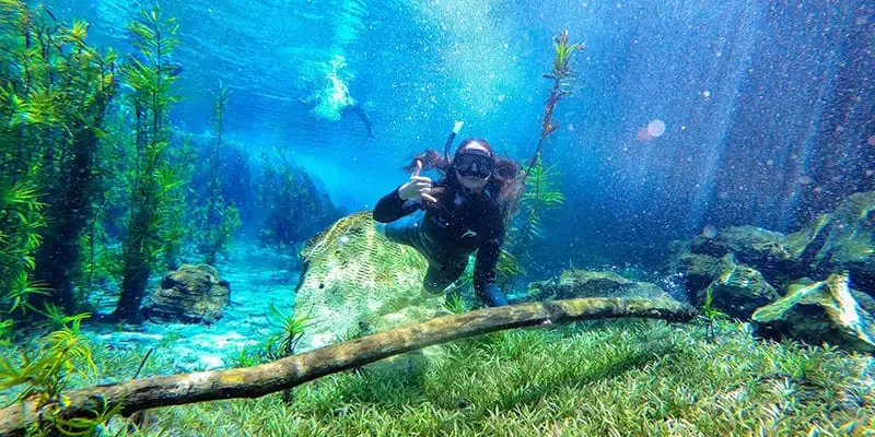 Flutuacao Rio Azul Bodoquena Ms Acqua Viagens