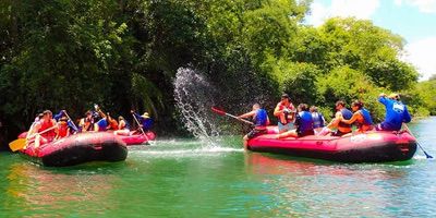 Passeio De Bote No Rio Formoso Em Bonito