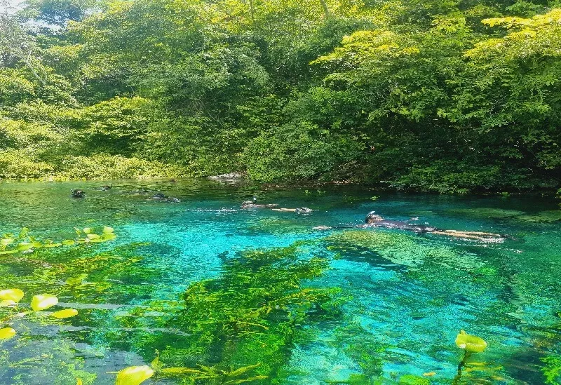 rio-azul-flutu