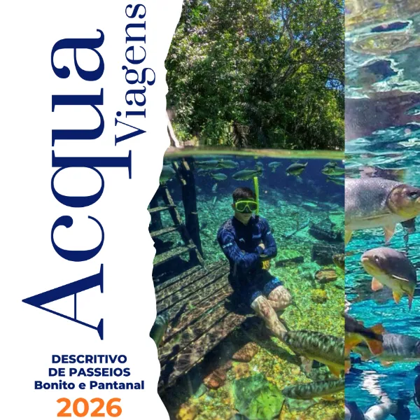 Baixe a tabela de preços dos Passeios 2026